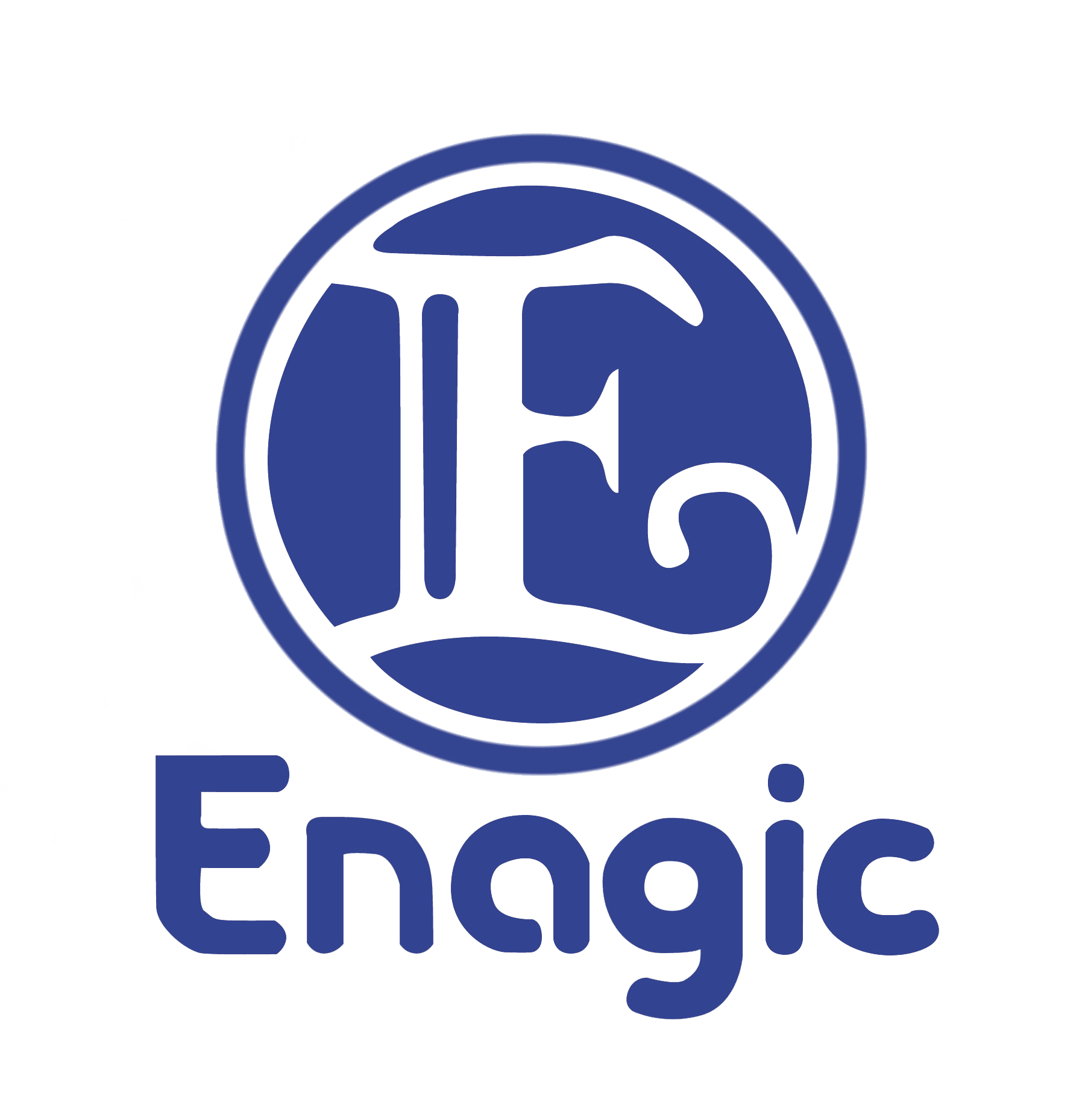 Logo Enagic
